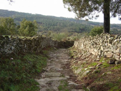 Caminho dos Galegos na Rota de Santiago
