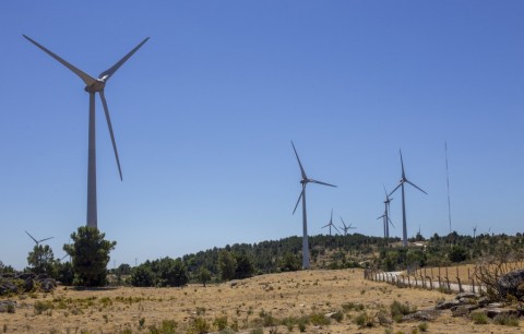 Pelas Cumeadas de Chavães