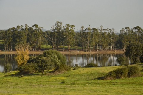 Entre Pontos e Colinas