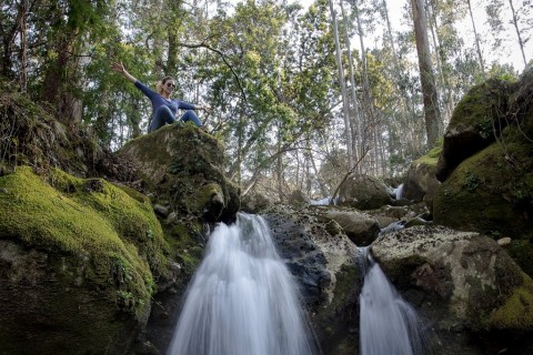 Caminhos do Sol Nascente