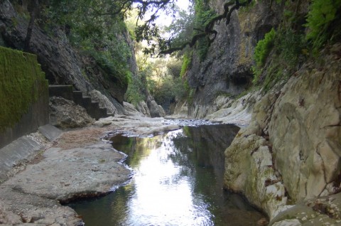 Olhos de Água do Alviela