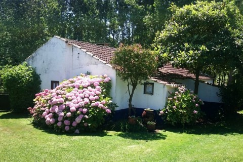 Rota dos Moinhos do Rei