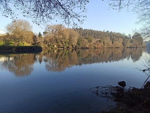 No trilho da Sra. da Consolação às Margens do Cávado