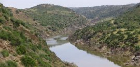 As Margens do Guadiana