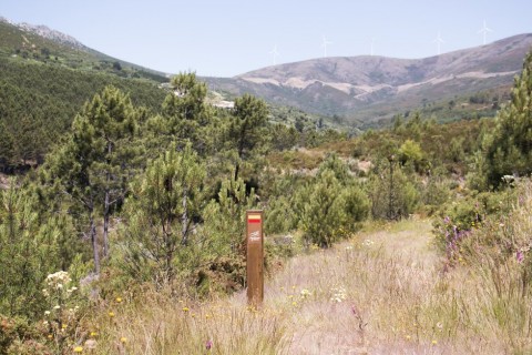 Caminho de Xisto de Pampilhosa da Serra - Rota do Velho de Unhais