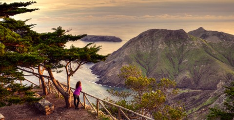 Vereda do Pico Branco e Terra Chã