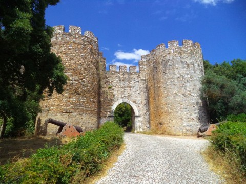 Descoberta da Estrada Real