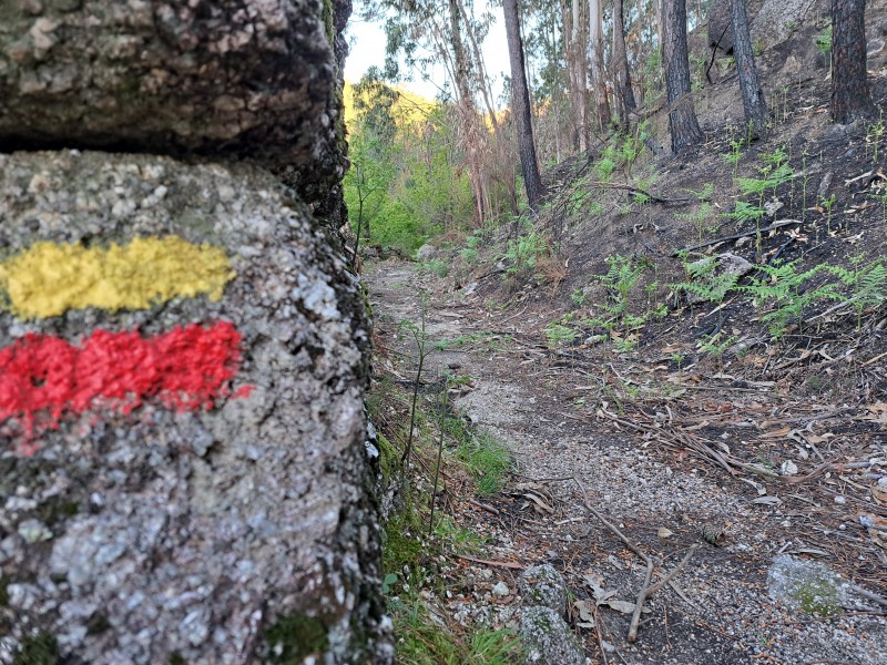 As Montanhas Mais Bonitas do Norte de Portugal: Um Guia para Amantes da Natureza